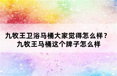 九牧王卫浴马桶大家觉得怎么样？ 九牧王马桶这个牌子怎么样